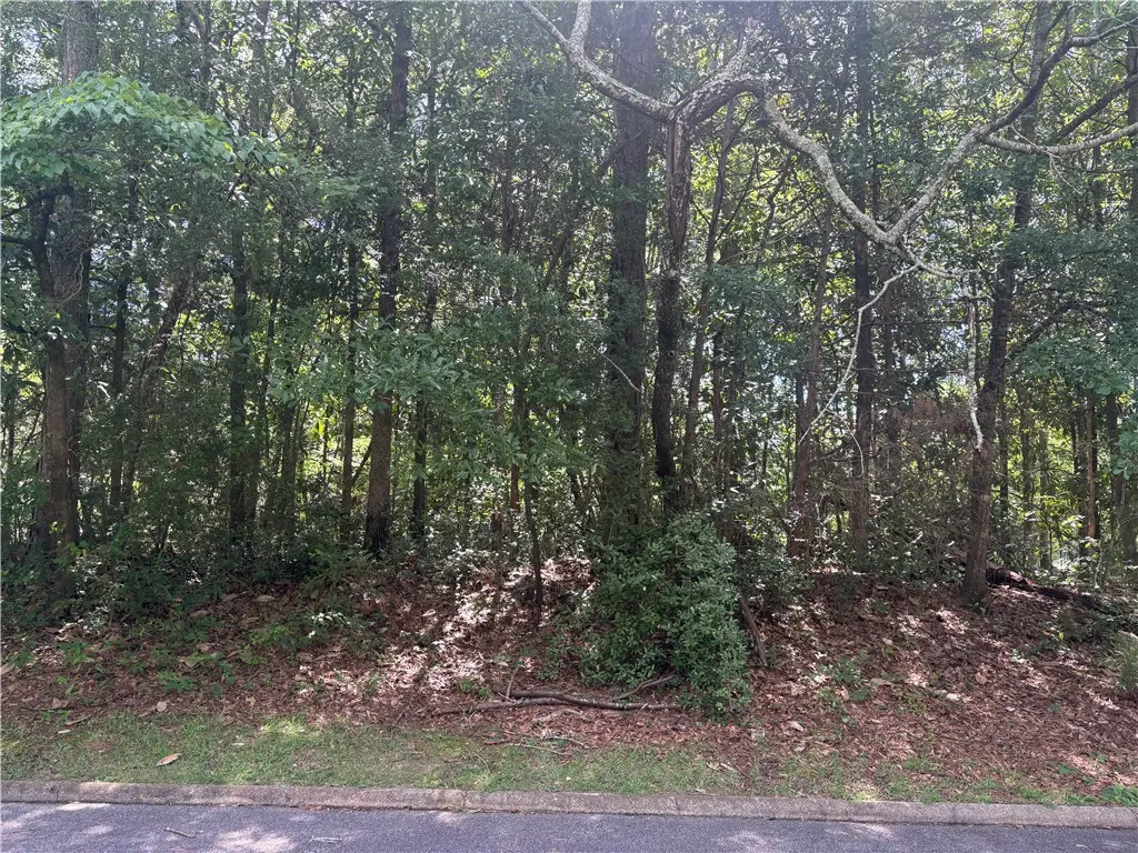 1405 Scott Street, Opelika, AL 36801 - #1