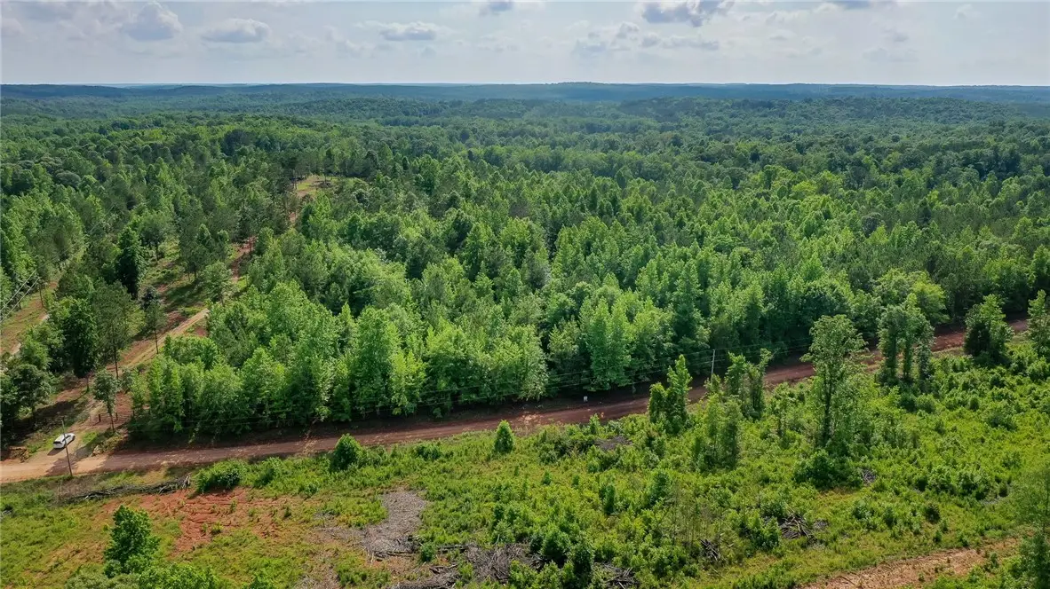 0 Lee Road 78, Auburn, AL 36879 - #1
