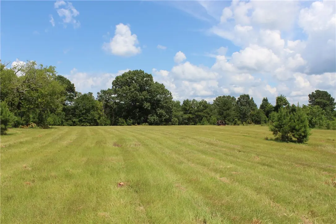0 Brooks Road, Phenix City, AL 36870 - #1