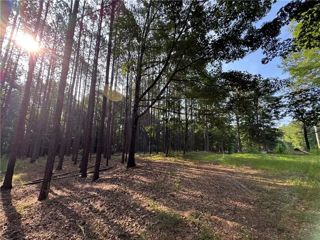 3850 County Road 70, Camp Hill, AL 36850 - #1
