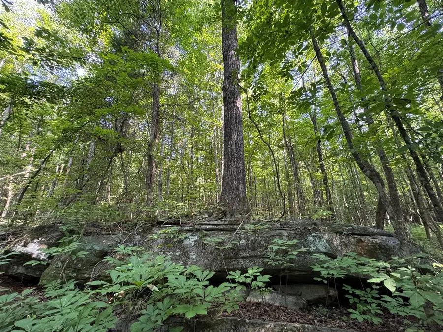 3850 County Road 70, Camp Hill, AL 36850 - #3