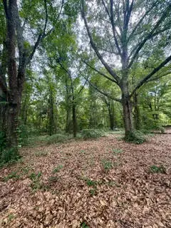 0 Lee Road 122, Opelika, AL 36804 - #2