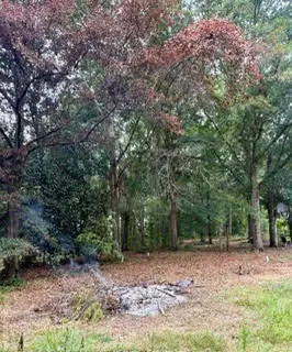 0 Lee Road 122, Opelika, AL 36804 - #3
