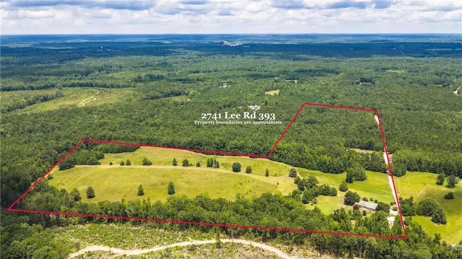 6 Parcels Lee Road 393, Auburn, AL 36832 - #3
