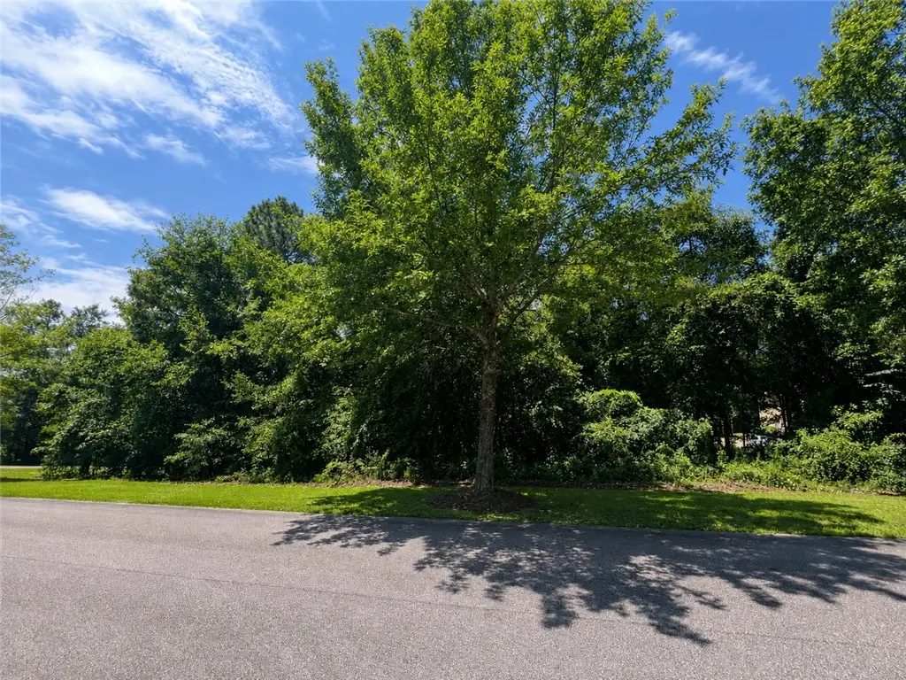 Lot 17 Lee Road 2159, Opelika, AL 36804 - #1