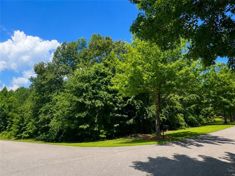 Lot 17 Lee Road 2159, Opelika, AL 36804 - #2