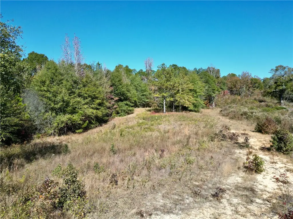 0 Al Highway 82, Eufaula, AL 36027 - #1