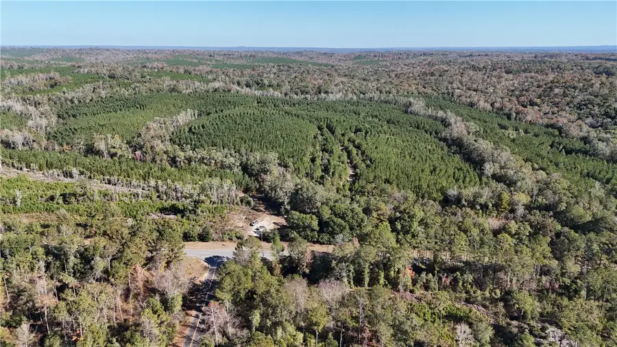 0 Al Highway 82, Eufaula, AL 36027 - #2