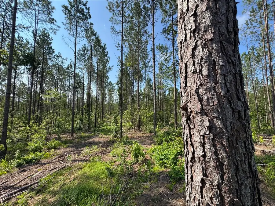 0 Parker Island Road, Equality, AL 36026 - #2