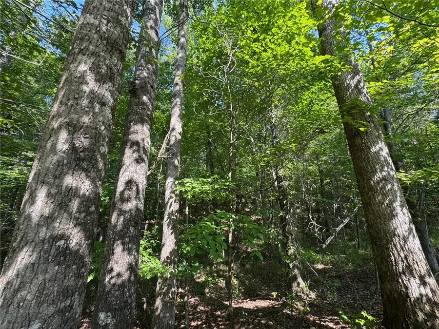 0 Parker Island Road, Equality, AL 36026 - #3