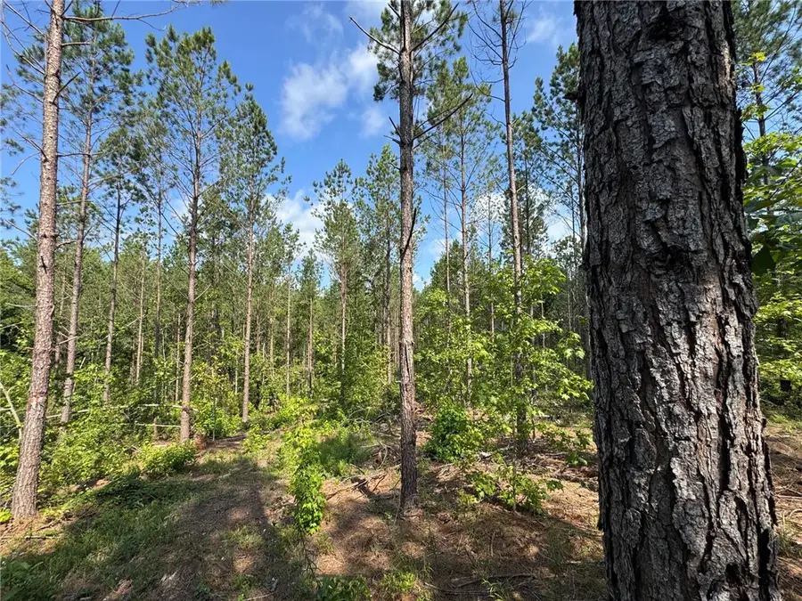 0 Parker Island Road, Equality, AL 36026 - #3