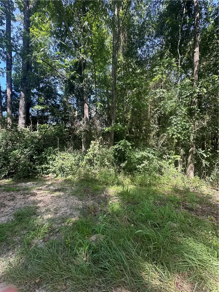Lot 1 County Road 38, Notasulga, AL 36866 - #1
