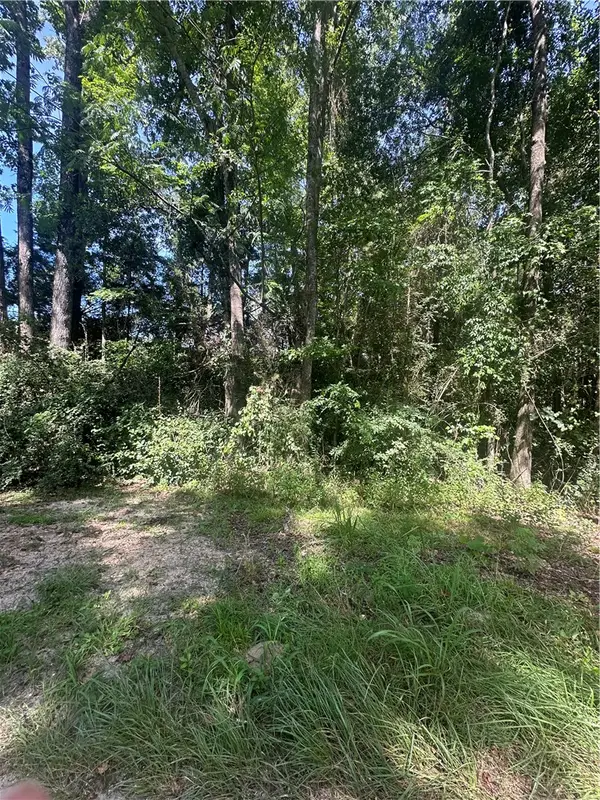 Lot 1 County Road 38, Notasulga, AL 36866