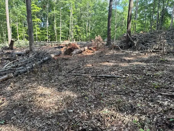 lot 1 Bobcat Pass Us Highway 29 N, Opelika, AL 36804