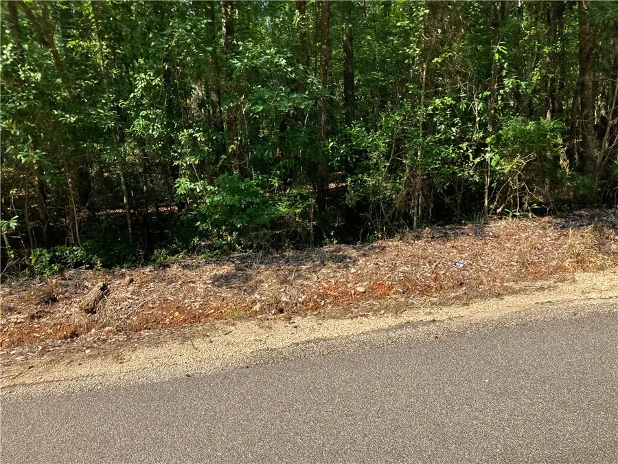 2087 Lee Road 45, Opelika, AL 36804 - #3