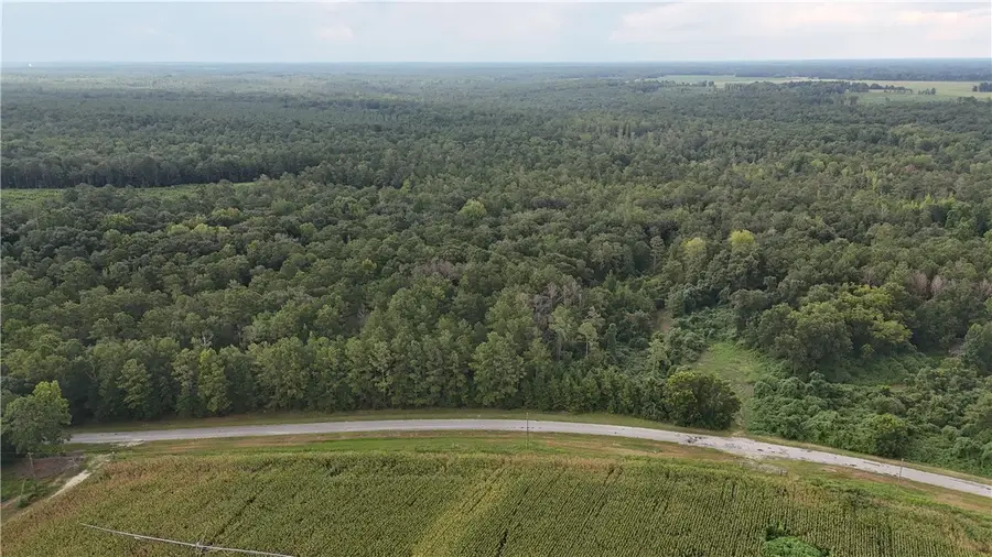 0 County Road 91, Tuskegee, AL 36083 - #2
