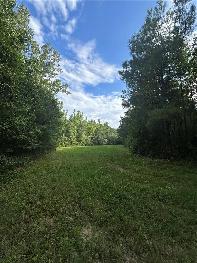 0 County Road 91, Tuskegee, AL 36083 - #3