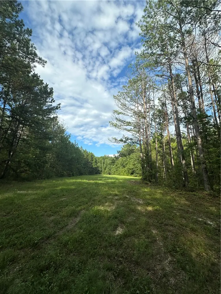 0 County Road 91, Tuskegee, AL 36083 - #2