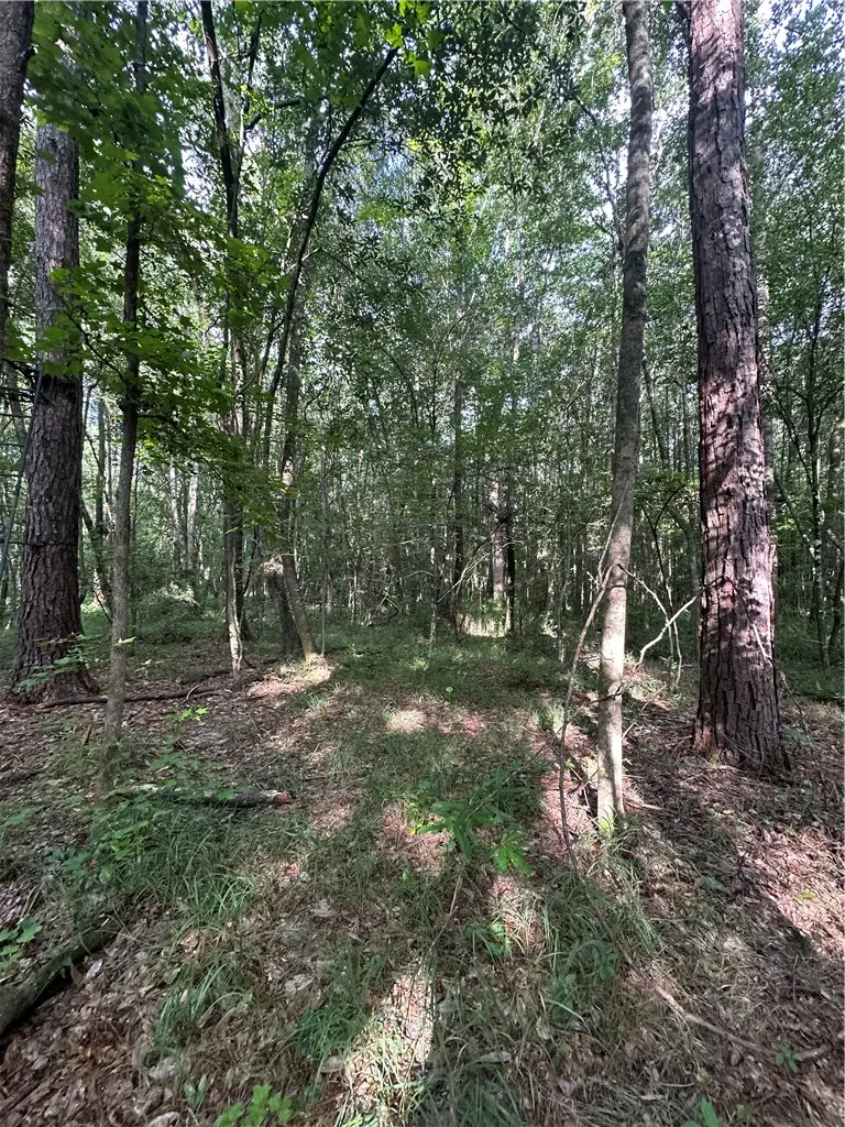 0 County Road 91, Tuskegee, AL 36083 - #3