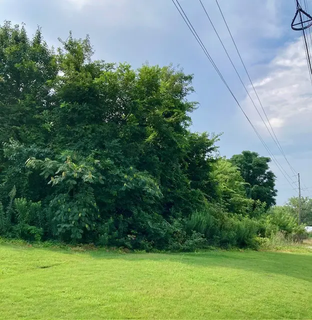 0 Lafayette Parkway, Opelika, AL 36801 - #1