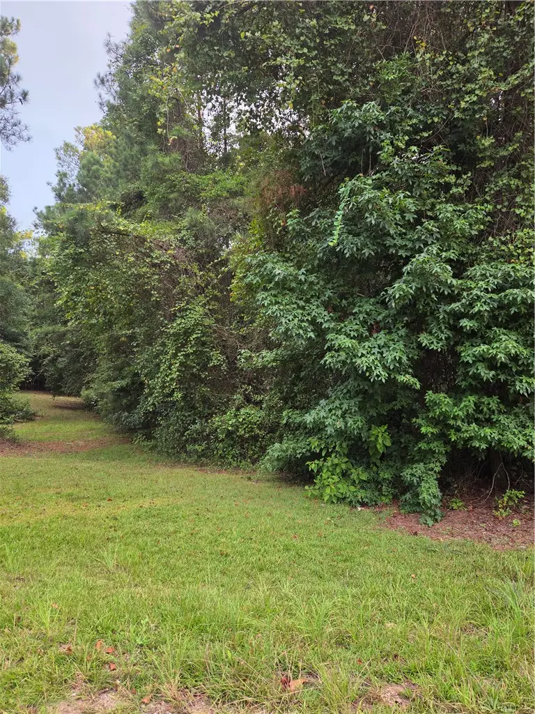0 Lee Road 27, Opelika, AL 36804 - #1