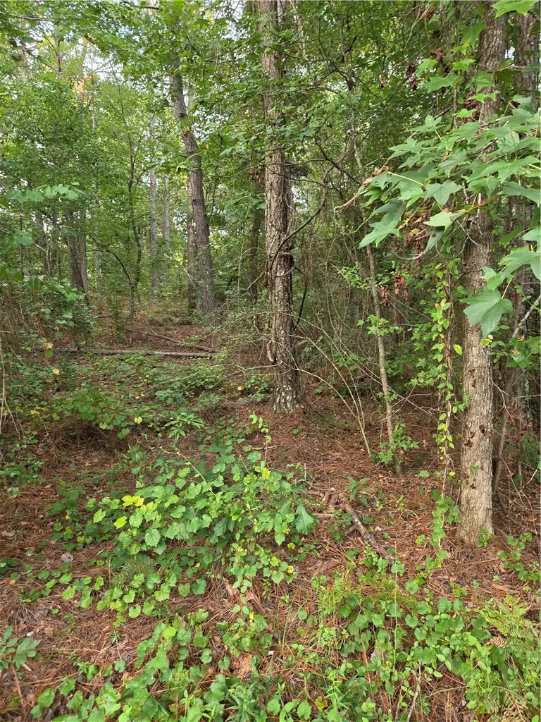 0 Lee Road 27, Opelika, AL 36804 - #3