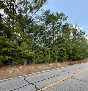 0 Lee Road 29, Opelika, AL 36804