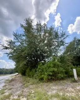 0 Lee Road 29, Opelika, AL 36804 - #2