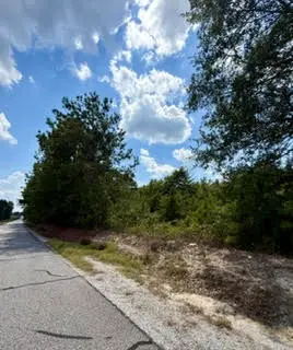 0 Lee Road 29, Opelika, AL 36804 - #3