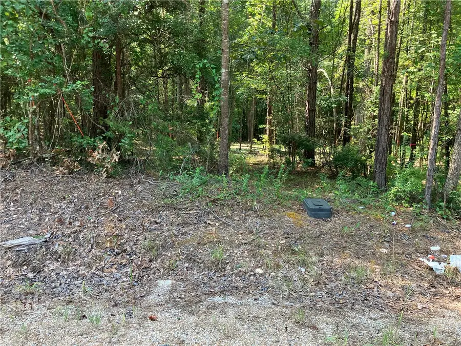 2031 Lee Road 45, Opelika, AL 36804 - #2