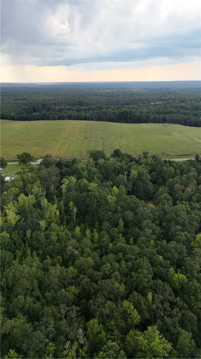 0 County Road 91, Tuskegee, AL 36083 - #3