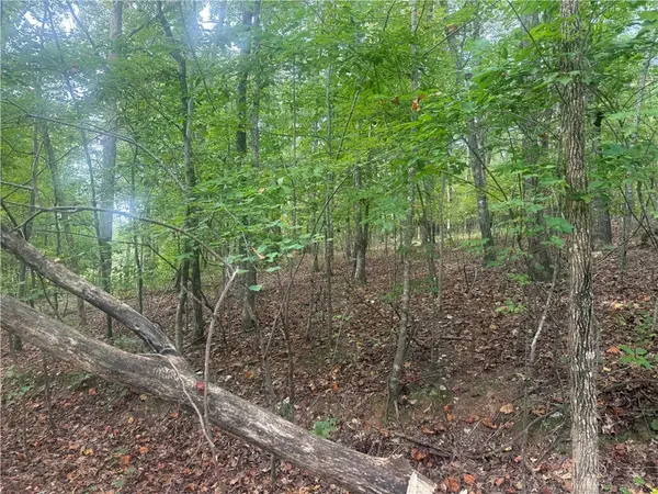 0 County Road 52, Goodwater, AL 35072