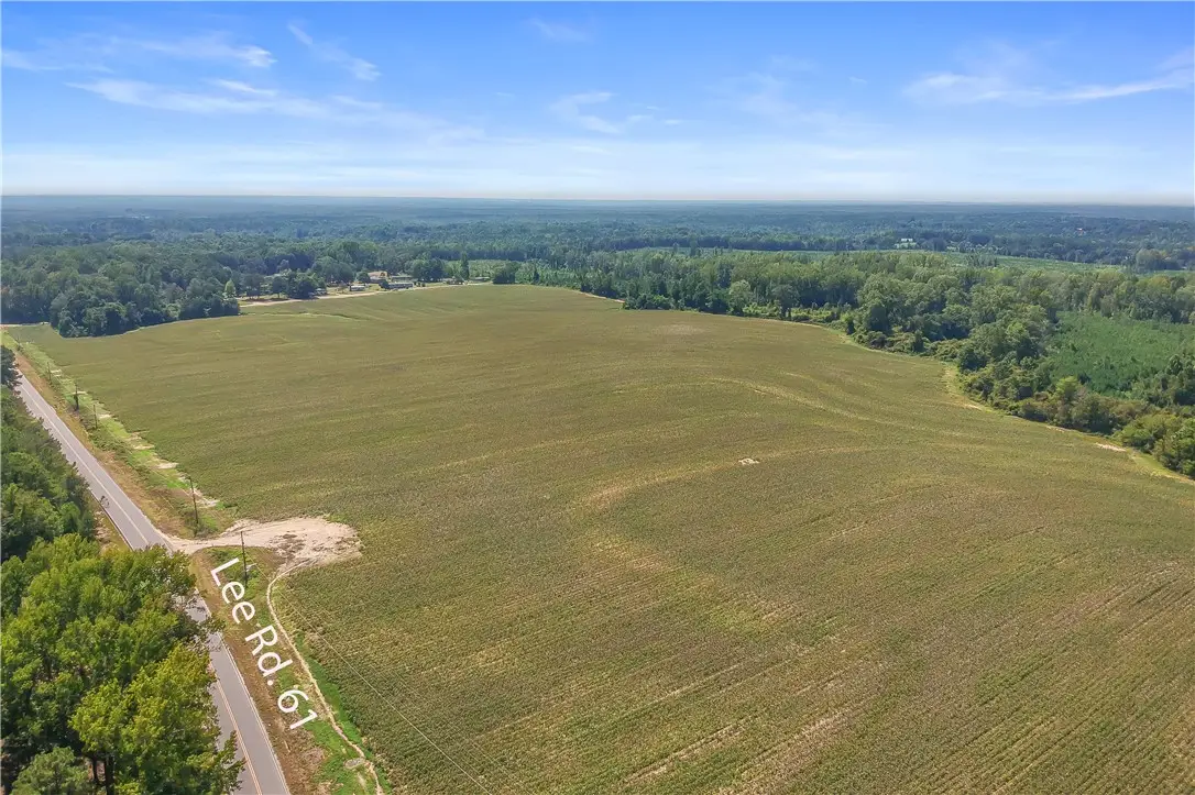 00 Lee Road 61, Auburn, AL 36832 - #1