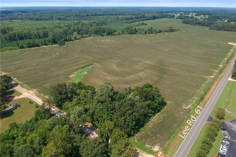 00 Lee Road 61, Auburn, AL 36832 - #2