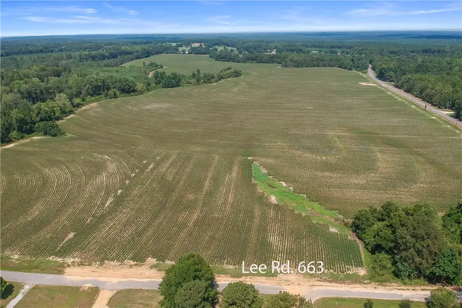 00 Lee Road 61, Auburn, AL 36832 - #3