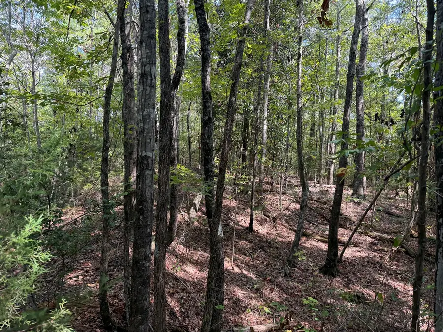 0 N Uniroyal Road, Opelika, AL 36804 - #3