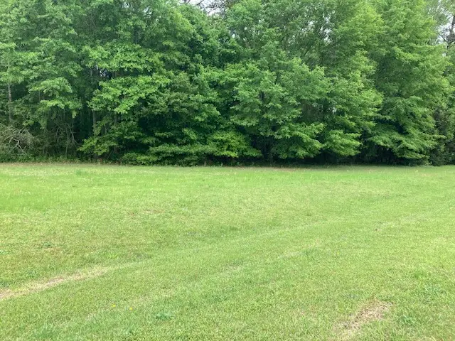 0 Plantation Way, Auburn, AL 36832 - #1