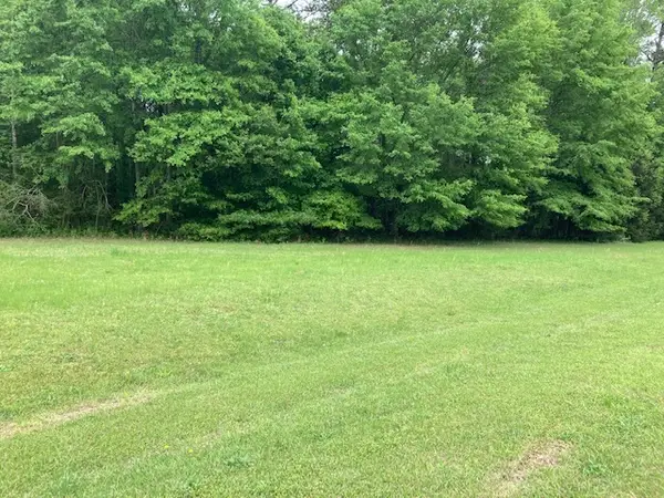 0 Plantation Way, Auburn, AL 36832
