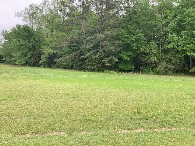 0 Plantation Way, Auburn, AL 36832 - #2