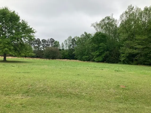 0 Plantation Way, Auburn, AL 36832 - #3