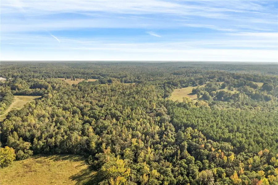 0 County Road 17, Tuskegee, AL 36083 - #3