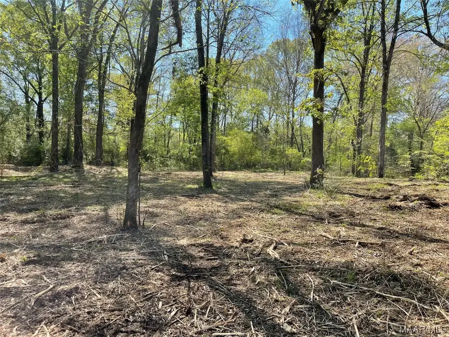 115 Cahaba View Drive, Selma, AL 36702 - Image #2