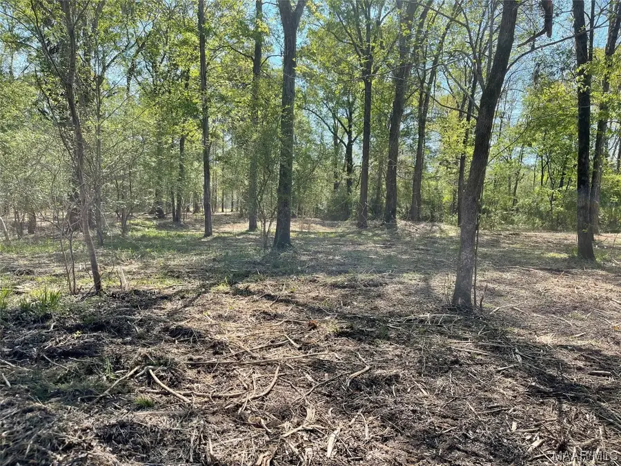 115 Cahaba View Drive, Selma, AL 36702 - Image #3