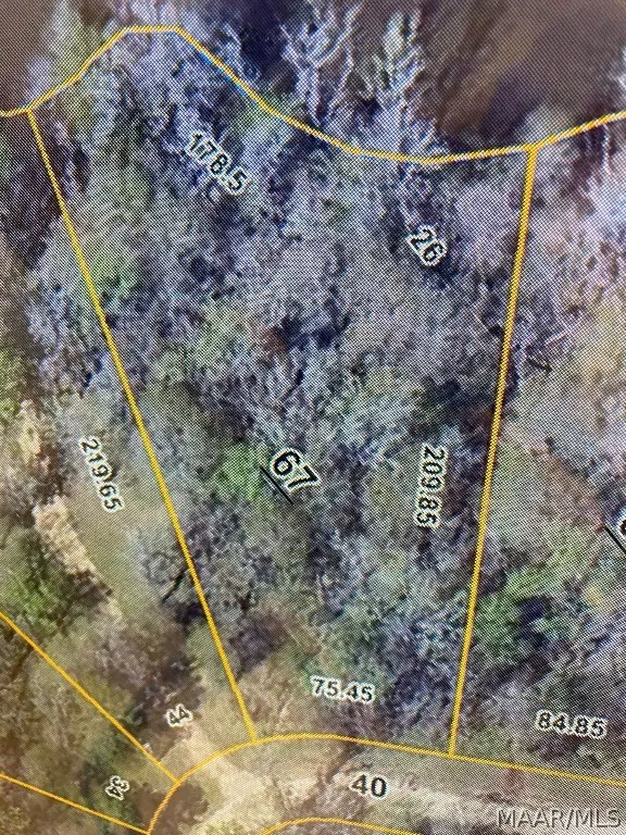 LT 26 River Oaks Landing, Orrville, AL 36701 - Image #1