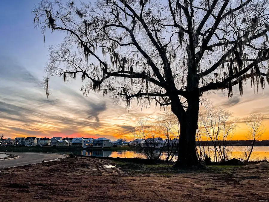 357 Heron Hill, Pike Road, AL 36064 - Image #3