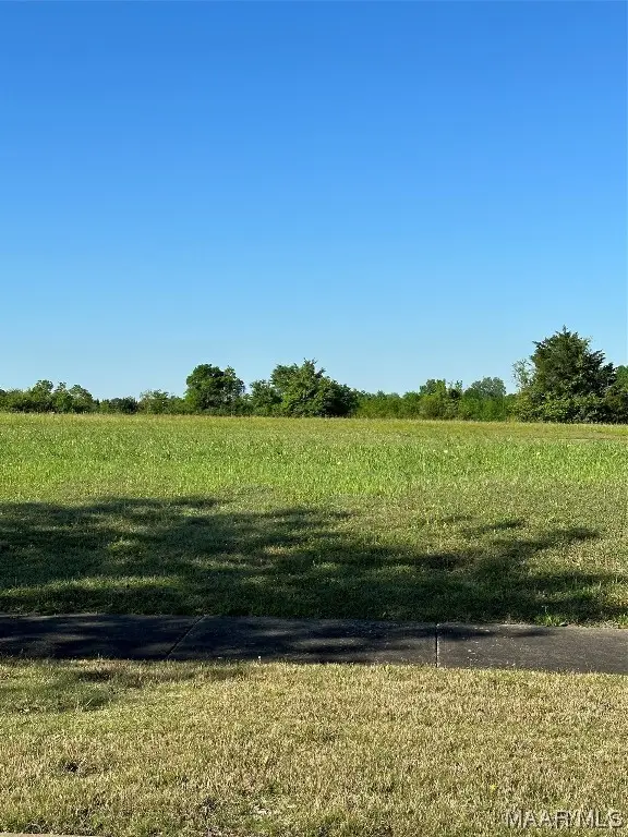 3936 Turning Leaf Lane, Montgomery, AL 36116 - Image #1