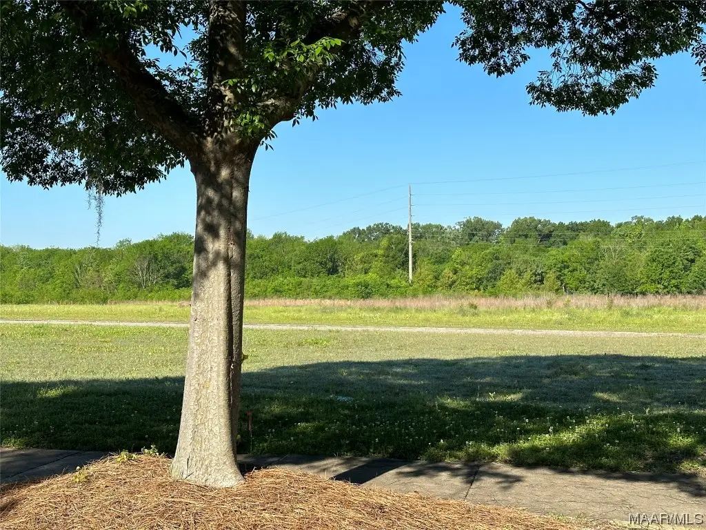 3918 Turning Leaf Lane, Montgomery, AL 36116 - Image #1