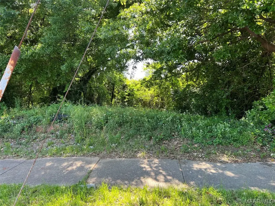 3 Dickerson Street, Montgomery, AL 36104 - Image #3