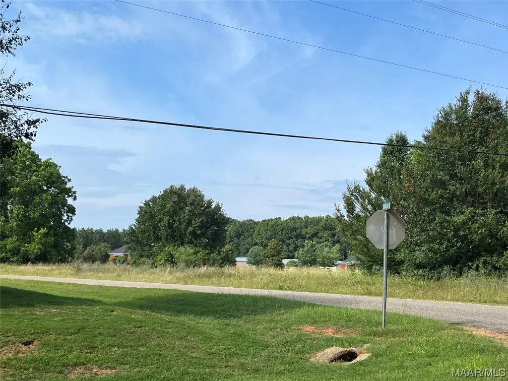 0 Lexington Drive, Selma, AL 36701 - Image #1