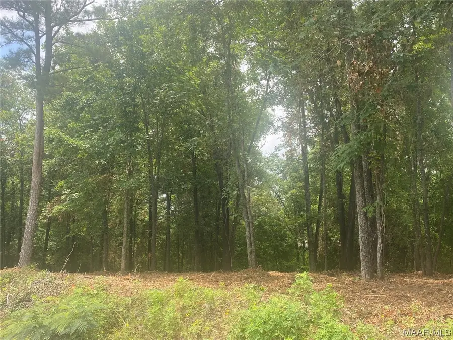 232 Nixon Road, Millbrook, AL 36022 - Image #2